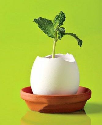 點擊圖片進(jìn)入下一頁