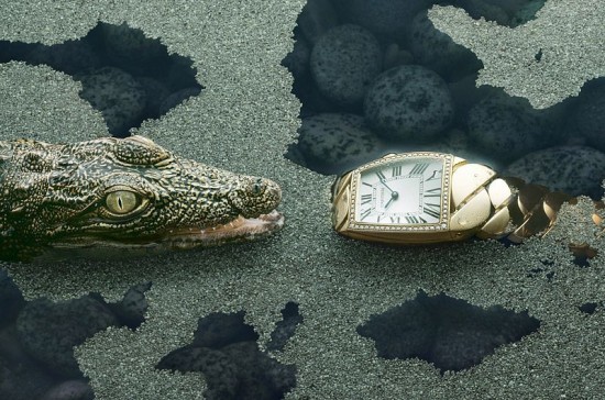 zӰPeter Lippmann{~c鿨؁(Cartier)s־ĔzһMDƬDƬ}ǡT󡱡