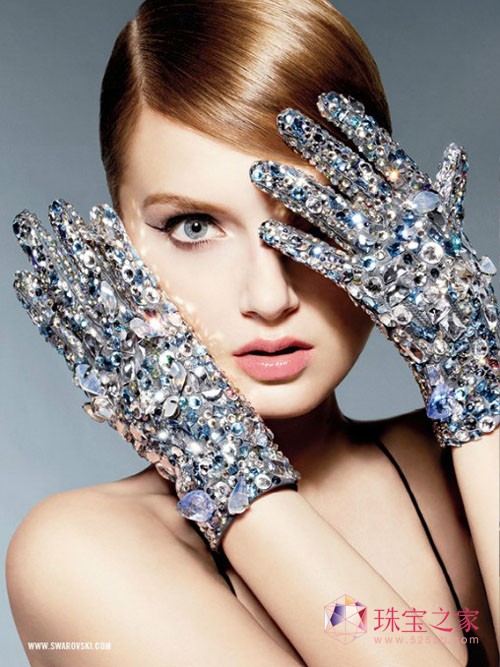 SwarovskiʩAˮ2013ďVƬ