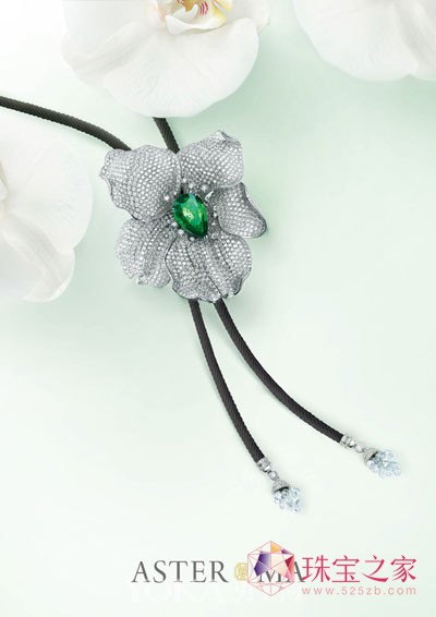 錚O(sh)Ӌ(j)Aster MaƳmϵ/